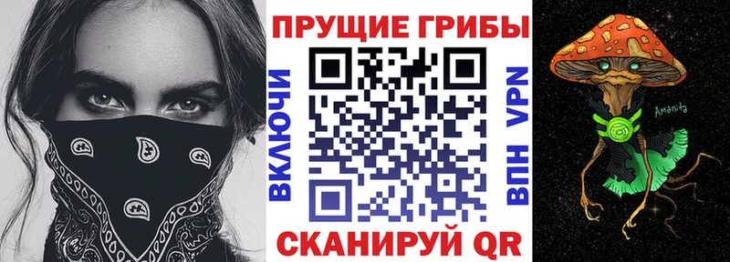 Галлюциногенные грибы Psilocybe  закладка  блэк спрут ссылки  Миллерово 