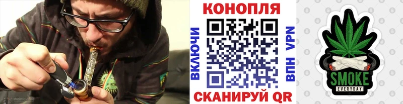 Каннабис сатива Миллерово